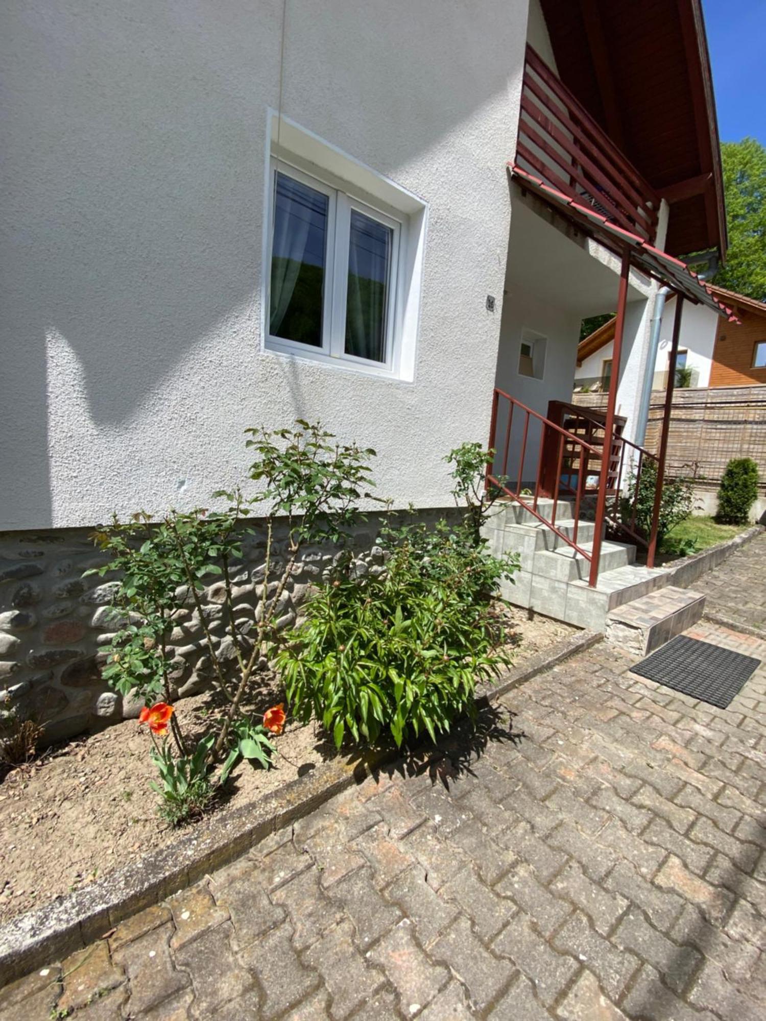 Villa Casa Micul Arin Sovata Exterior foto